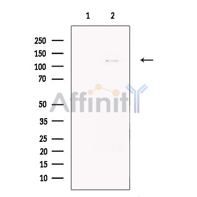 Валидация Affinity DF7414 - 19154