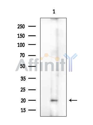 Валидация Affinity DF14781 - 10874