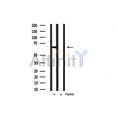 Валидация Affinity AF6424 - 3729
