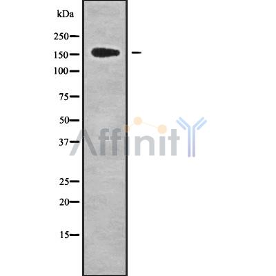 Валидация Affinity DF9522 - 22166