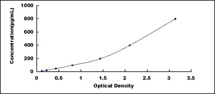 57165