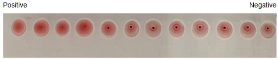 27350