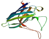 Superoxide Dismutase 1, Soluble (SOD1)