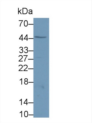 14935