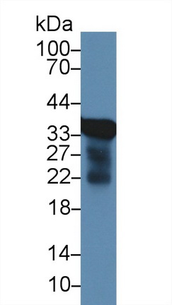 13929
