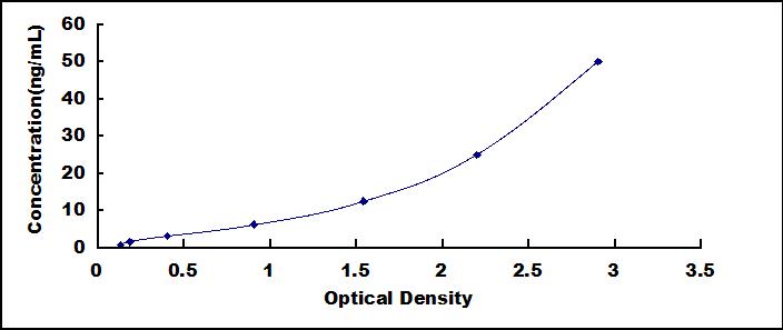 33806