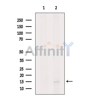 Валидация Affinity DF10167 - 5701