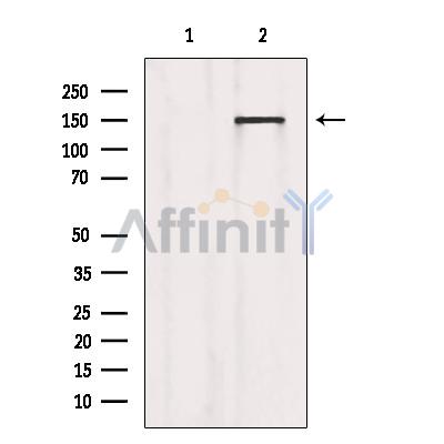 Валидация Affinity AF6210 - 3450