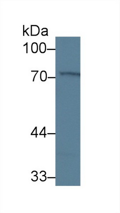 13971