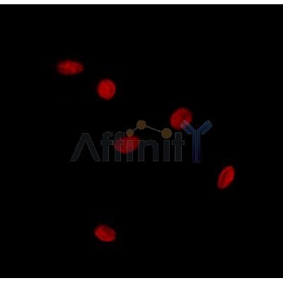 Валидация Affinity DF8757 - 20776