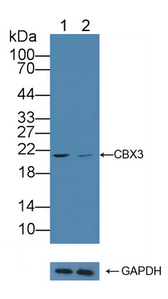 12205