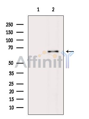 Валидация Affinity DF9023 - 21252