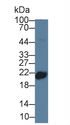 39880