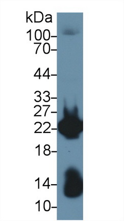 13713