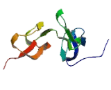 Tumor Necrosis Factor Receptor Superfamily, Member 10B (TNFRSF10B)