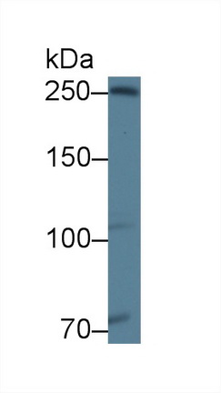 12708
