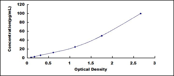 62241