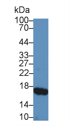 9754