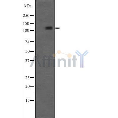 Валидация Affinity DF8322 - 20175