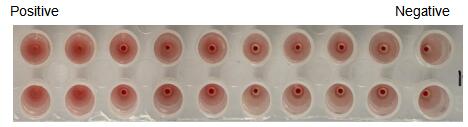 27382
