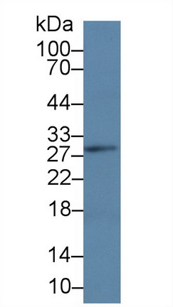 10109