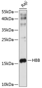 Валидация Elabscience E-AB-90630