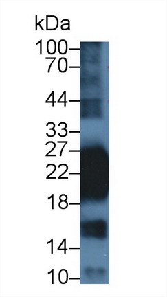 8637