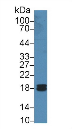 9721