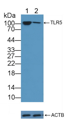 12180