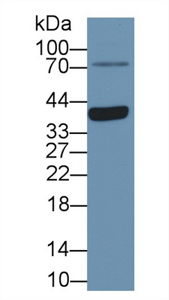 13414