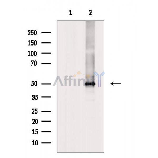 Валидация Affinity AF6806 - 4049