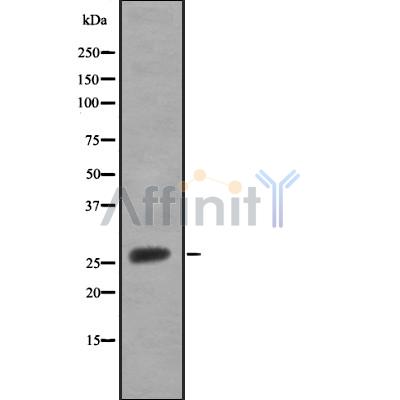 Валидация Affinity DF8416 - 20288