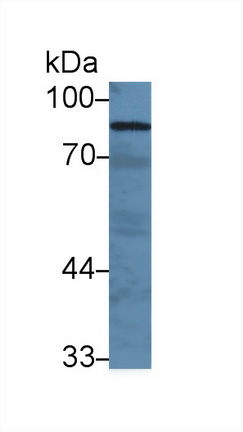 13848