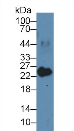 8937