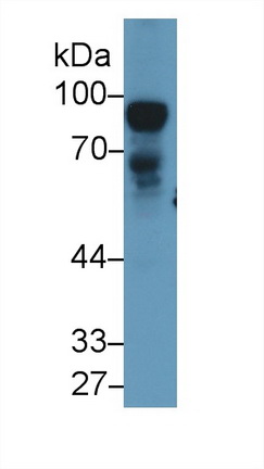 13210