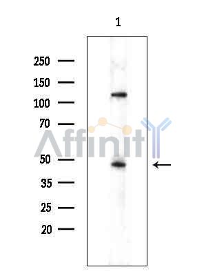 Валидация Affinity DF15863 - 12371