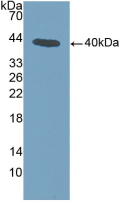 20757
