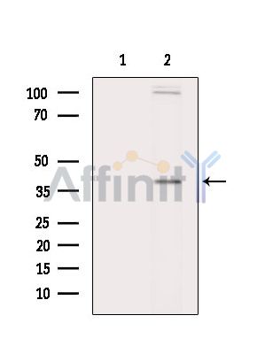 Валидация Affinity DF15665 - 12112