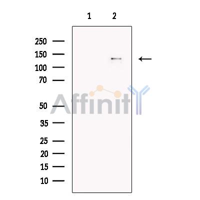 Валидация Affinity DF13313 - 8469