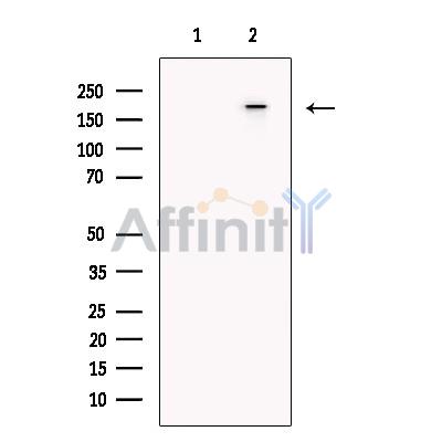 Валидация Affinity DF13669 - 9242