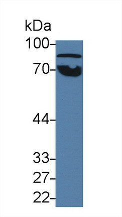 10122