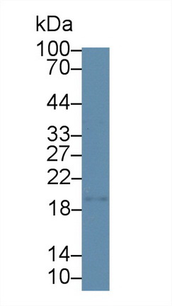 12552