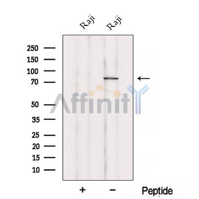 Валидация Affinity DF12805 - 7503