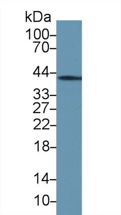 17640