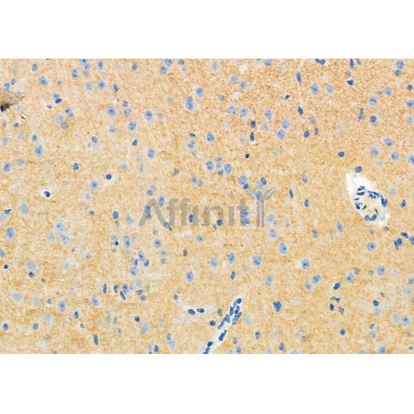 Валидация Affinity DF12388 - 6863