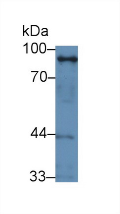 8896