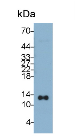 30649