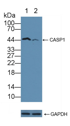 12139