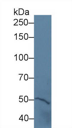 10149