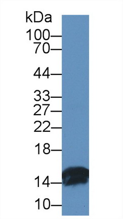 8469